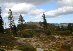 Pacific Crest Trail